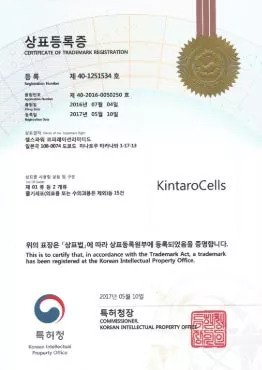 'Kintaro Cells' trademark in South Korea