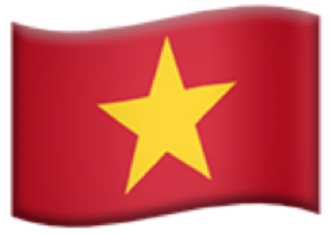 Vietnam Flag